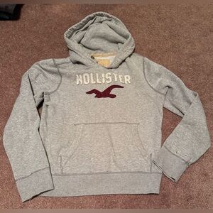 Men’s Hollister Y2K Hoodie✨